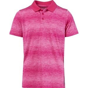 BCG Men's‎ Golf Ombre Stripe Polo Shirt in Bright Raspberry Sorbet Ombre 2XL